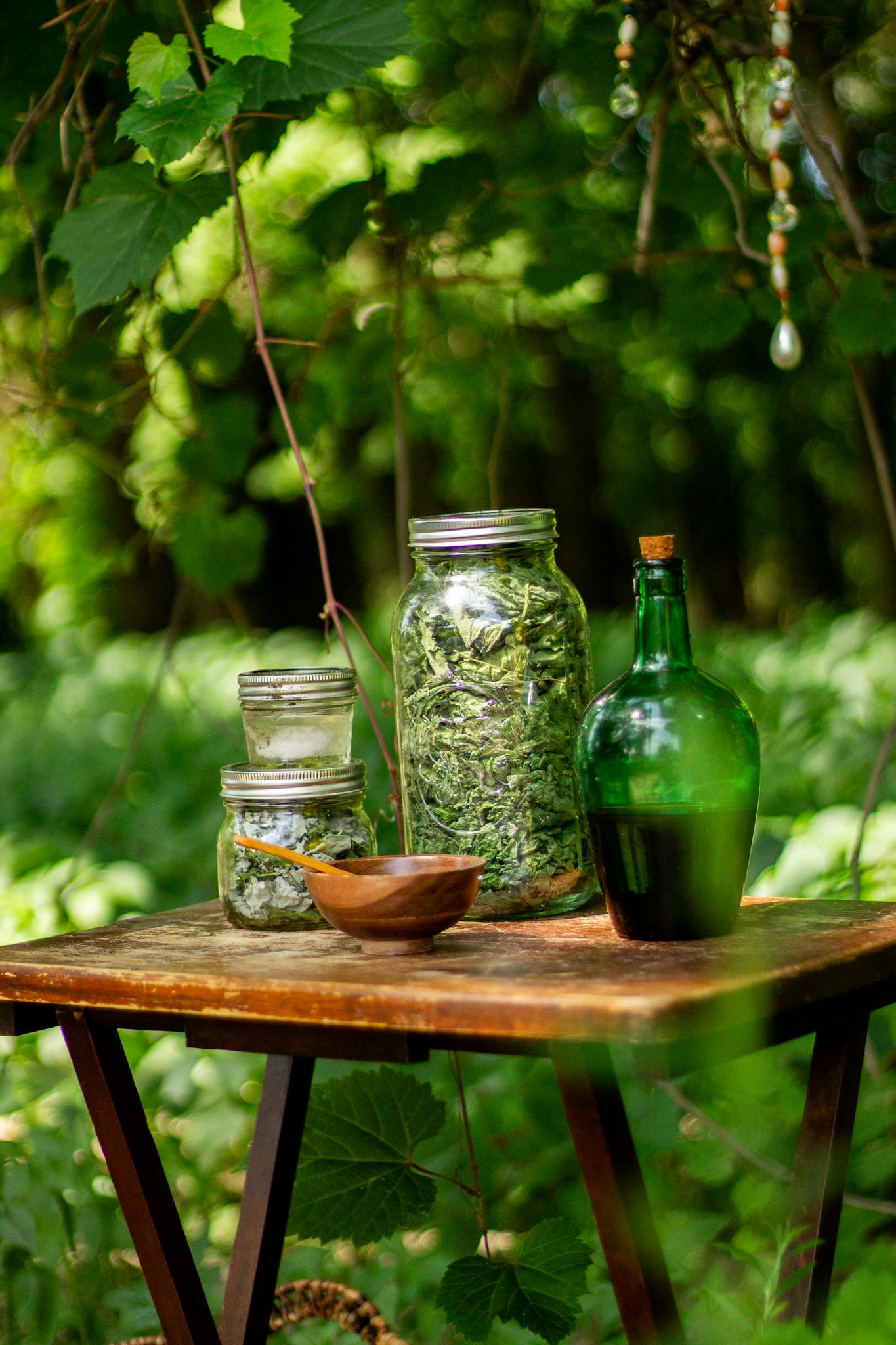 Jars of dried herbs with a green bottle on a rustic table in a forest. Perfect for natural remedies and wellness themes.